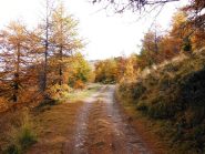 Si esce dal bosco