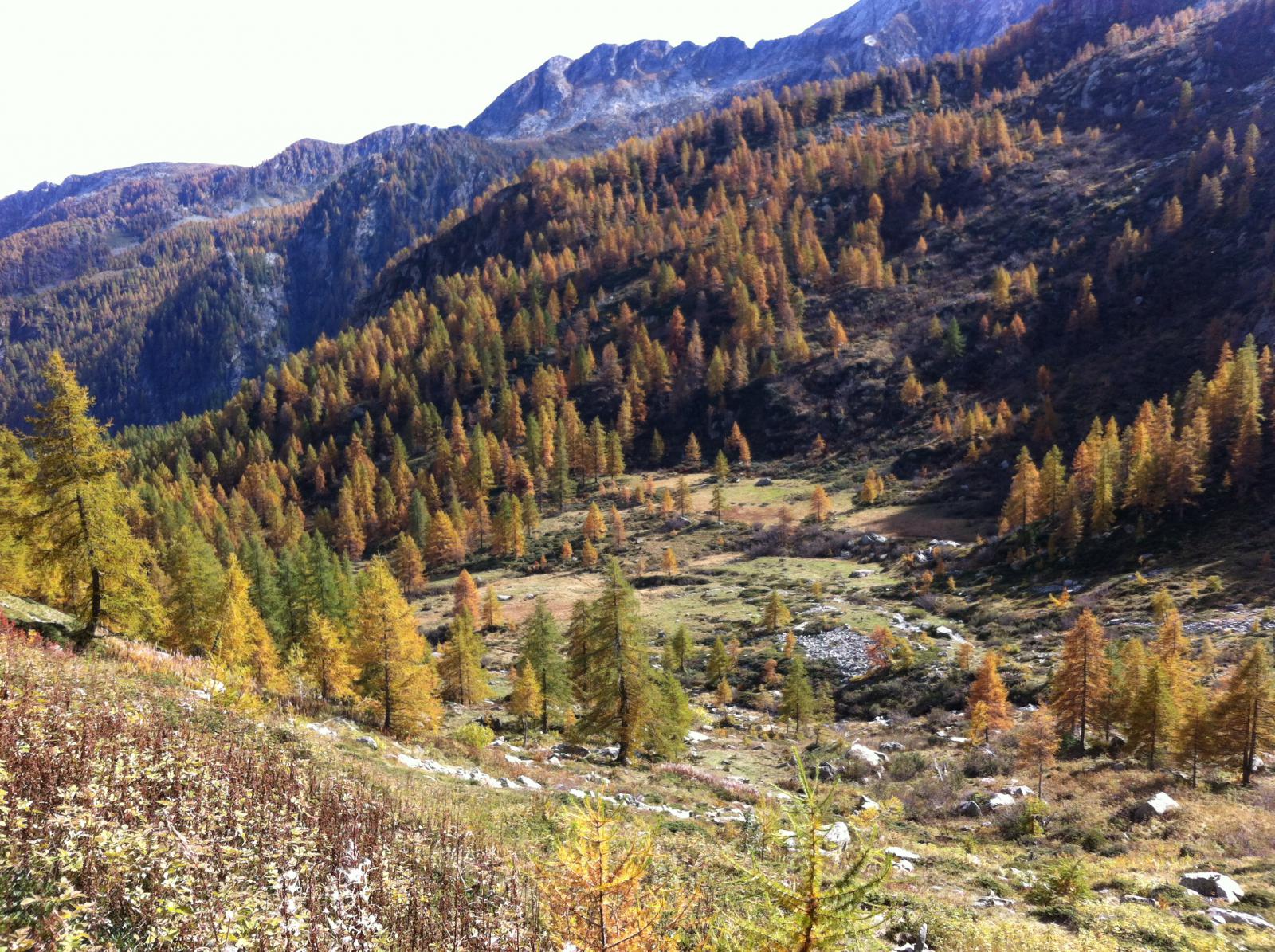 autunno nella valle delle brenve