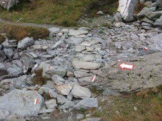 non mi posso sbagliare!