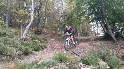 LA CINGHIALETTA A PALLA COME SEMPRE