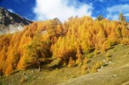 super-colori
