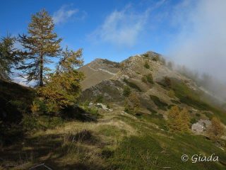 Meravigliosi colori autunnali sul crinale