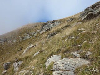 Verso il Bertrand