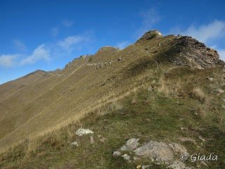 All'inizio del crinale