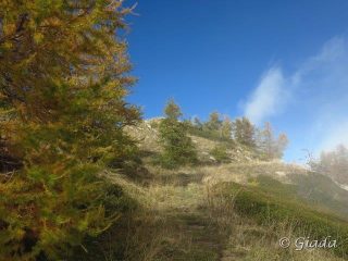 Meravigliosi colori autunnali sul crinale
