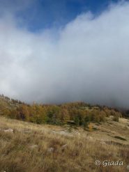 Salendo al Bertrand dal crinale