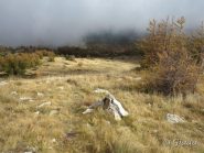 Salendo al Bertrand dal crinale