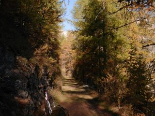 la bella strada di salita ciclabilissima