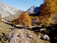 più in basso si accendono i colori dell'autunno