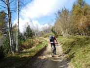 Da Pian del Lupo al bivio di bric Arcet