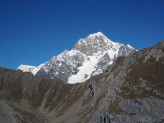 il bianco