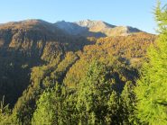 Cima delle Lose al mattino