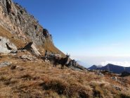 04 - guardiano del colle