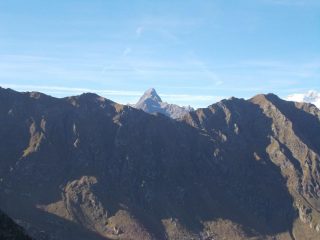 Corno Bianco