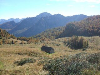 pascolo di Casera Bregolina