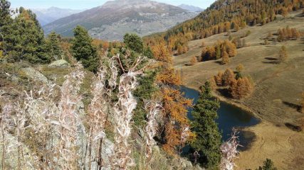 IL LAGO NERO VISTO DAL BUNKER
