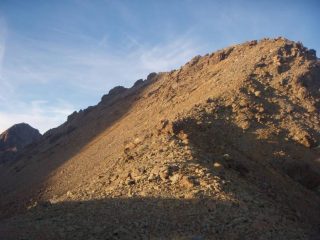 la Mazzucchini con la sua cresta