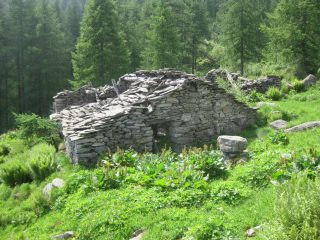 Alpe Truna