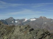 Bessanese, Albaron di Savoia e Ciamarella