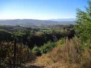 Panorama sul Cuneese