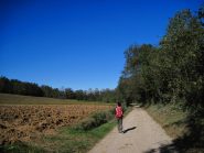 Nei campi prima del bosco