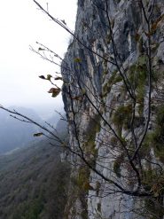 un pò di panorama dalla scaletta