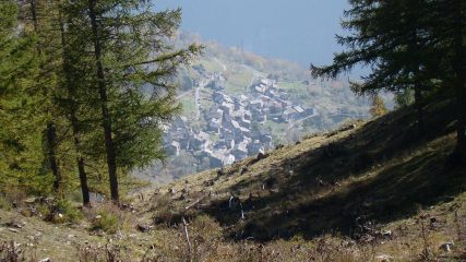 Frazioncina tra il bosco...