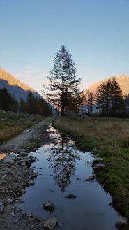 ...cadrà la neve...