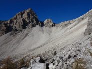 Selvaggio e affascinante
