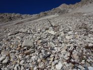 Resti di filo spinato