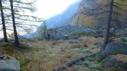 Alpe Truna