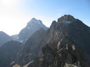 Rocce Fourion e Monviso  