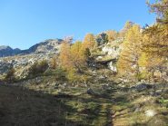Salendo al colle