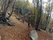 Romeo, nel suo ambiente naturale.