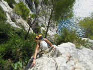 Uscita sul terrazzo col grosso pino...