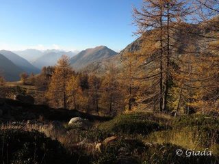 Caldi e tenui colori autunnali