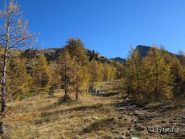 Paesaggio verso il bivio Laghi delle Terre Rosse e Col Mercera