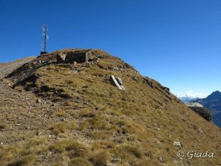 Tete de Pelevos