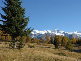il bianco del Rosa contrasta i colori autunnali