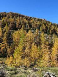 Vallon de Prals