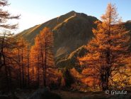 Colori nel tramonto