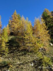Colori che scaldano l'anima