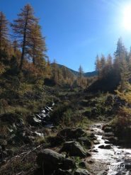 Ghiaccio lungo il sentiero salendo nel Vallon de Prals