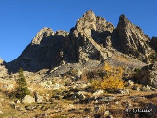 Cartoline dal Vallon de Madone de Fenestre