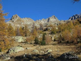 Cartoline dal Vallon de Madone de Fenestre