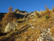 Cartoline dal Vallon de Madone de Fenestre