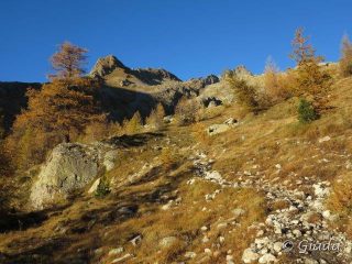 Cartoline dal Vallon de Madone de Fenestre
