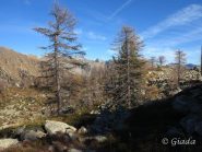 Cartolina da Les Adus