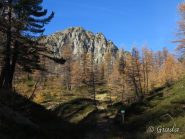 Svetta il Cayre Archas