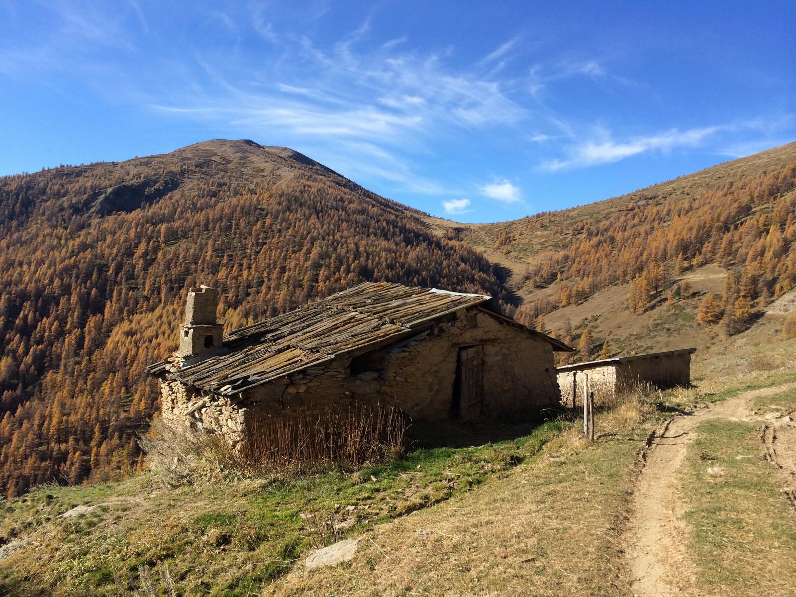 Alpe Giarasson e C.le costa Piana